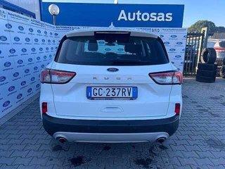 FORD Kuga 1.5 EcoBlue 120 CV 2WD Titanium Business