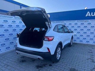 FORD Kuga 1.5 EcoBlue 120 CV 2WD Titanium Business