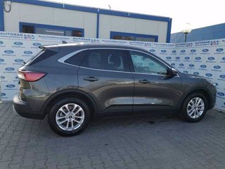 FORD Kuga 1.5 EcoBlue 120 CV 2WD Titanium