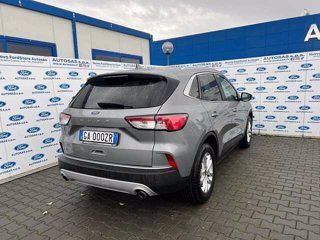 FORD Kuga 1.5 EcoBlue 120 CV 2WD Titanium