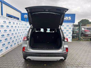 FORD Kuga 1.5 EcoBlue 120 CV 2WD Titanium