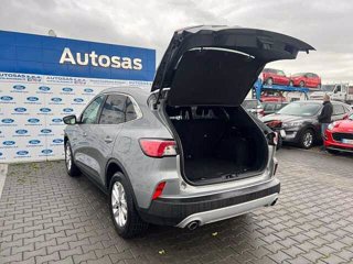 FORD Kuga 1.5 EcoBlue 120 CV 2WD Titanium