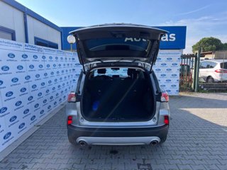 FORD Kuga 1.5 EcoBlue 120 CV 2WD Titanium