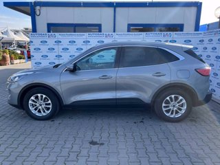 FORD Kuga 1.5 EcoBlue 120 CV 2WD Titanium