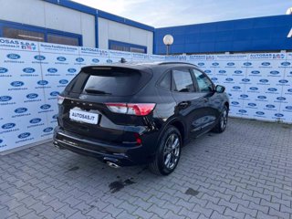 FORD Kuga 1.5 EcoBlue 120 CV aut. 2WD ST-Line X