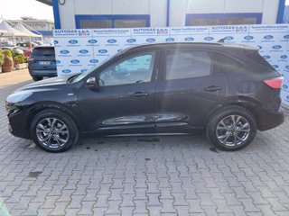 FORD Kuga 1.5 EcoBlue 120 CV aut. 2WD ST-Line X