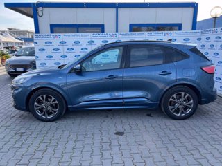 FORD Kuga 1.5 EcoBlue 120 CV 2WD ST-Line