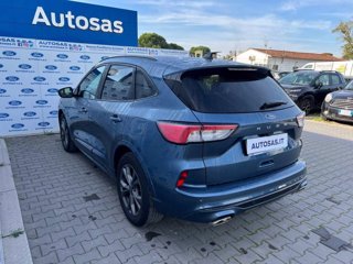 FORD Kuga 1.5 EcoBlue 120 CV 2WD ST-Line