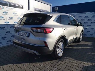 FORD Kuga 1.5 EcoBlue 120 CV 2WD Titanium