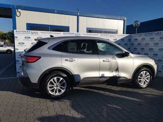 FORD Kuga 1.5 EcoBlue 120 CV 2WD Titanium