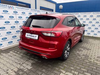 FORD Kuga 1.5 EcoBlue 120 CV 2WD ST-Line