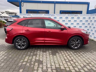 FORD Kuga 1.5 EcoBlue 120 CV 2WD ST-Line