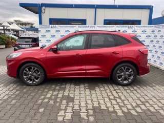 FORD Kuga 1.5 EcoBlue 120 CV 2WD ST-Line