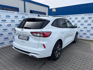 FORD Kuga 1.5 EcoBlue 120 CV 2WD ST-Line X