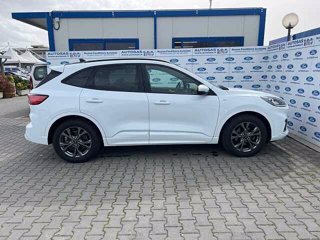 FORD Kuga 1.5 EcoBlue 120 CV 2WD ST-Line X