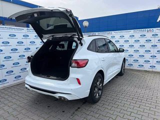 FORD Kuga 1.5 EcoBlue 120 CV 2WD ST-Line X