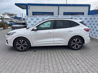 FORD Kuga 2.5 Plug In Hybrid 225 CV CVT 2WD ST-Line X