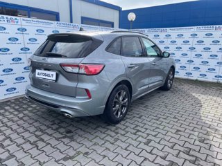 FORD Kuga 1.5 EcoBlue 120 CV 2WD ST-Line