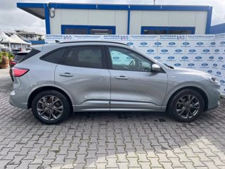 FORD Kuga 1.5 EcoBlue 120 CV 2WD ST-Line