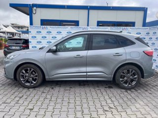 FORD Kuga 1.5 EcoBlue 120 CV 2WD ST-Line