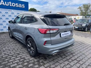 FORD Kuga 1.5 EcoBlue 120 CV 2WD ST-Line