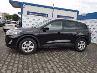 FORD Kuga 2.5 Plug In Hybrid 225 CV CVT 2WD Connect