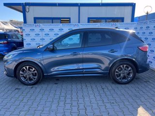 FORD Kuga 2.5 Full Hybrid 190 CV CVT 2WD ST-Line