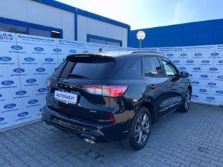 FORD Kuga 2.5 Full Hybrid 190 CV CVT AWD ST-Line