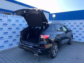 FORD Kuga 2.5 Full Hybrid 190 CV CVT AWD ST-Line