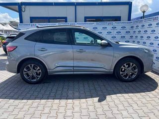 FORD Kuga 2.5 Plug In Hybrid 225 CV CVT 2WD ST-Line X