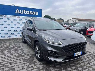 FORD Kuga 2.5 Plug In Hybrid 225 CV CVT 2WD ST-Line X