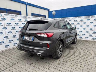 FORD Kuga 2.5 Plug In Hybrid 225 CV CVT 2WD ST-Line X