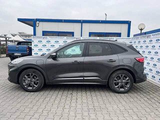 FORD Kuga 2.5 Plug In Hybrid 225 CV CVT 2WD ST-Line X