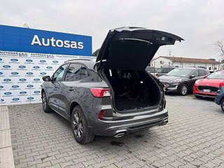 FORD Kuga 2.5 Plug In Hybrid 225 CV CVT 2WD ST-Line X