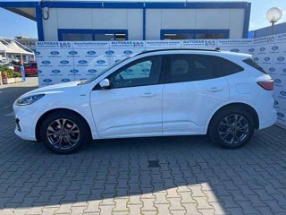 FORD Kuga 2.5 Full Hybrid 190 CV CVT 2WD ST-Line X