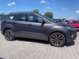 FORD Kuga 2.0 TDCI 120 CV S&S 2WD Powershift Business