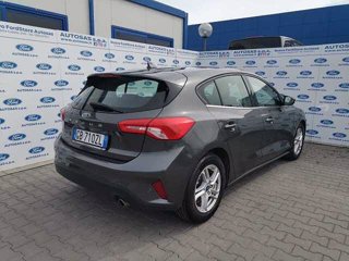 FORD Focus 1.5 EcoBlue 120 CV automatico 5p. Business Co-Pilot