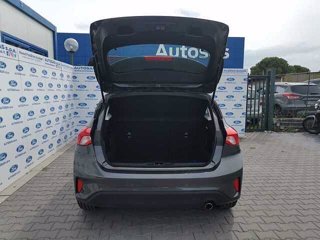 FORD Focus 1.5 EcoBlue 120 CV automatico 5p. Business Co-Pilot