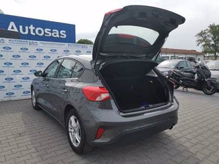 FORD Focus 1.5 EcoBlue 120 CV automatico 5p. Business Co-Pilot