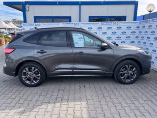 FORD Kuga 2.5 Plug In Hybrid 225 CV CVT 2WD ST-Line