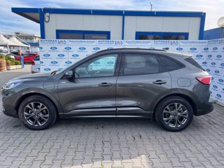 FORD Kuga 2.5 Plug In Hybrid 225 CV CVT 2WD ST-Line