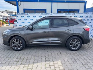 FORD Kuga 2.5 Plug In Hybrid 225 CV CVT 2WD ST-Line