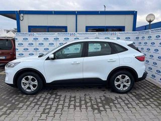 FORD Kuga 1.5 EcoBlue 120 CV aut. 2WD Connect