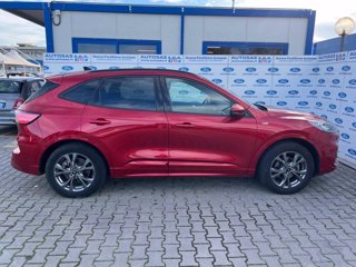 FORD Kuga 1.5 EcoBoost 150 CV 2WD ST-Line X