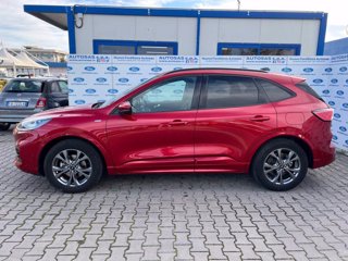 FORD Kuga 1.5 EcoBoost 150 CV 2WD ST-Line X