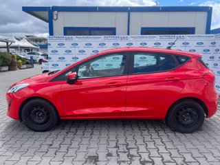 FORD Fiesta 1.1 75 CV 5 porte Connect