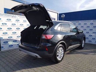 FORD Kuga 1.5 EcoBlue 120 CV 2WD Titanium