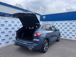 FORD Kuga 1.5 EcoBlue 120 CV 2WD ST-Line