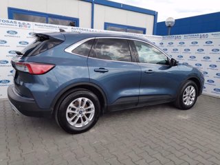 FORD Kuga 1.5 EcoBlue 120 CV 2WD Titanium