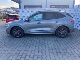 FORD Kuga 2.5 Plug In Hybrid 225 CV CVT 2WD ST-Line X